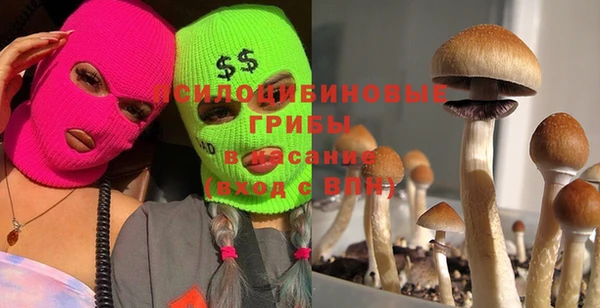 крисы Балабаново