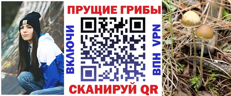 Псилоцибиновые грибы мицелий Ликино-Дулёво